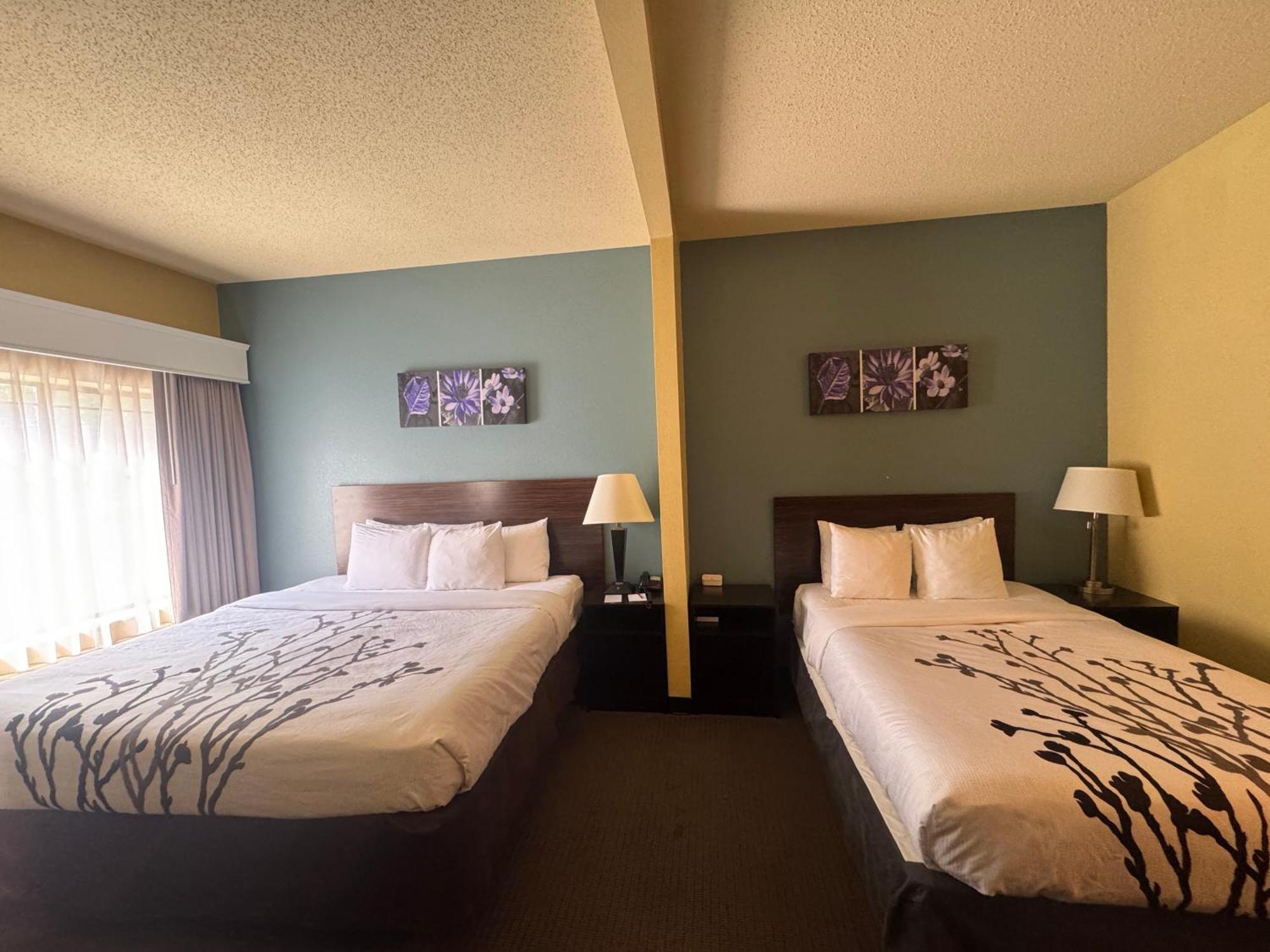 הטיסבורג Sleep Inn & Suites מראה חיצוני תמונה