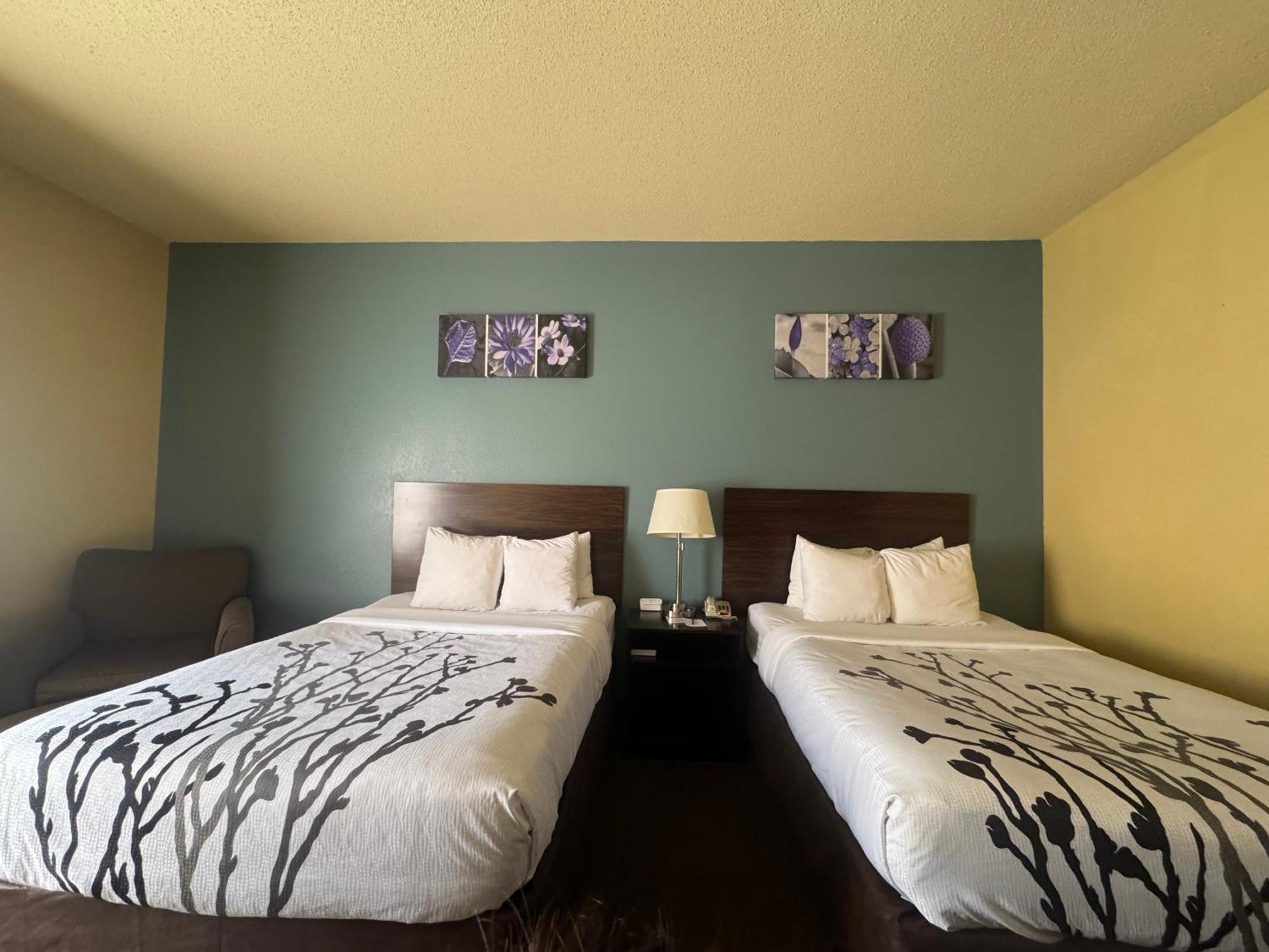 הטיסבורג Sleep Inn & Suites מראה חיצוני תמונה