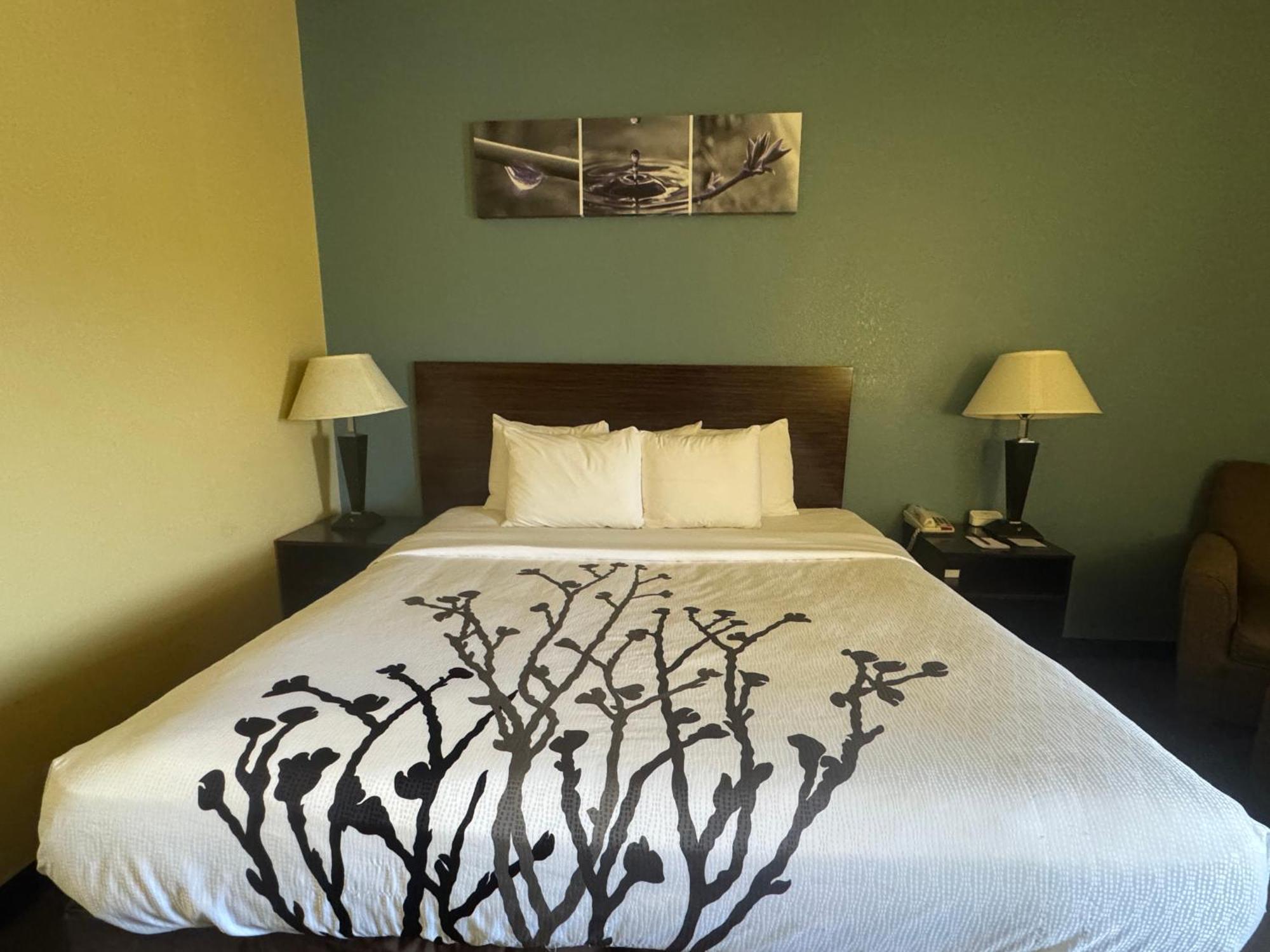 הטיסבורג Sleep Inn & Suites מראה חיצוני תמונה