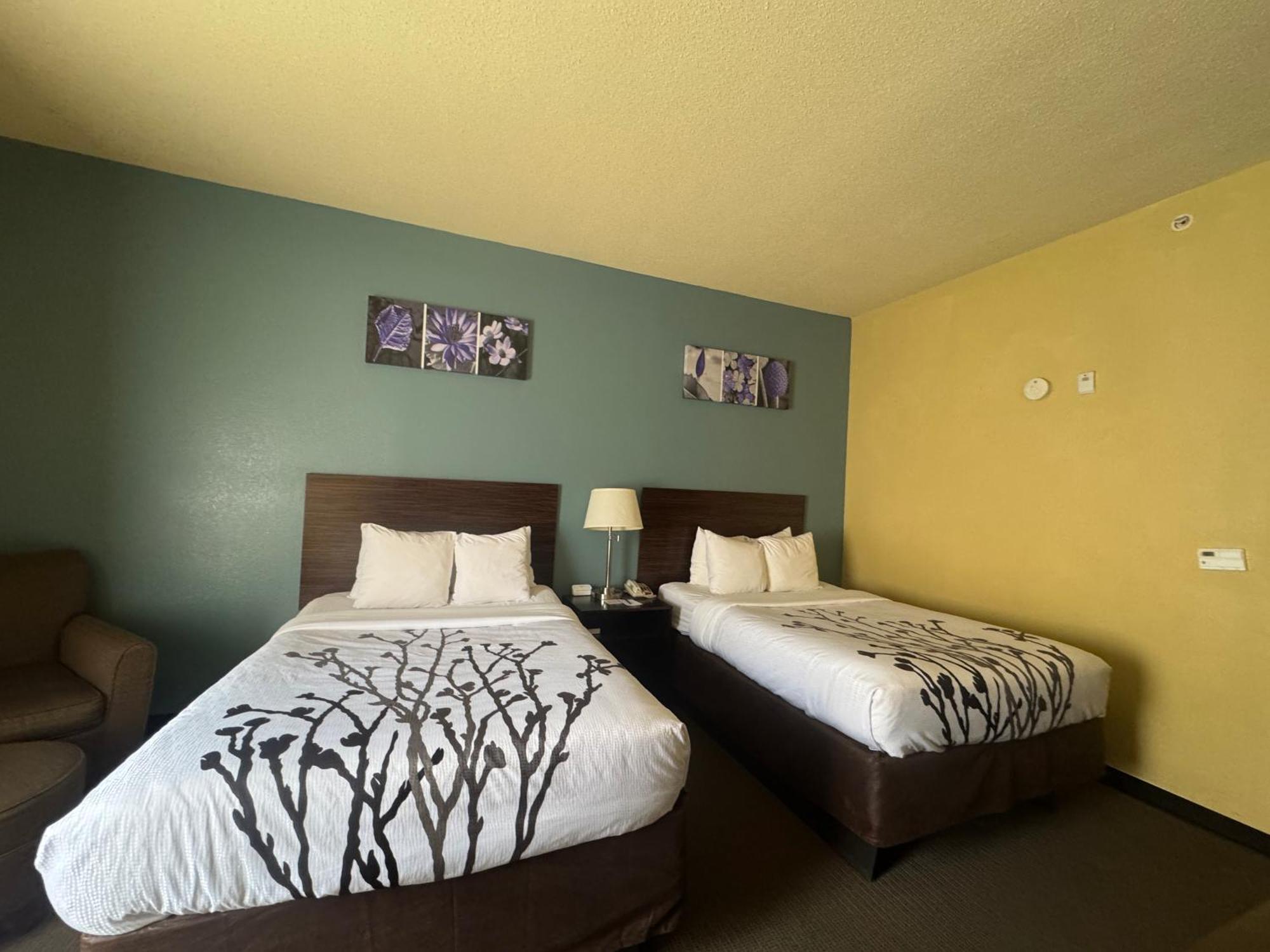 הטיסבורג Sleep Inn & Suites מראה חיצוני תמונה
