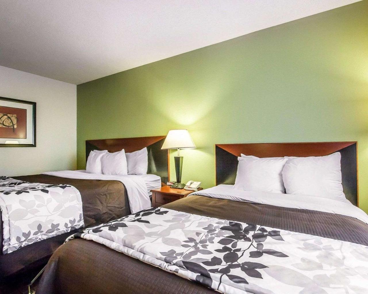 הטיסבורג Sleep Inn & Suites מראה חיצוני תמונה