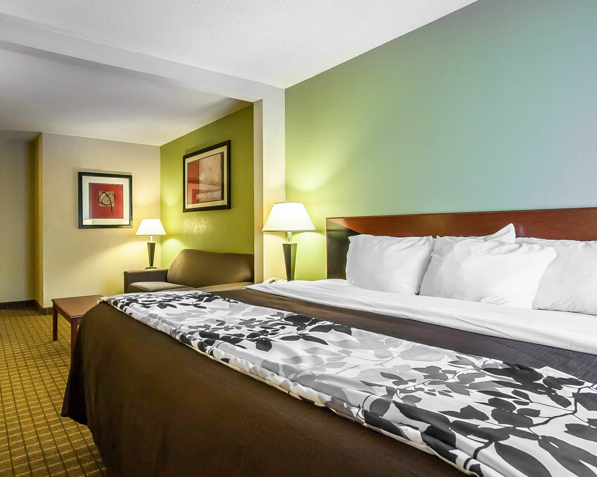 הטיסבורג Sleep Inn & Suites מראה חיצוני תמונה